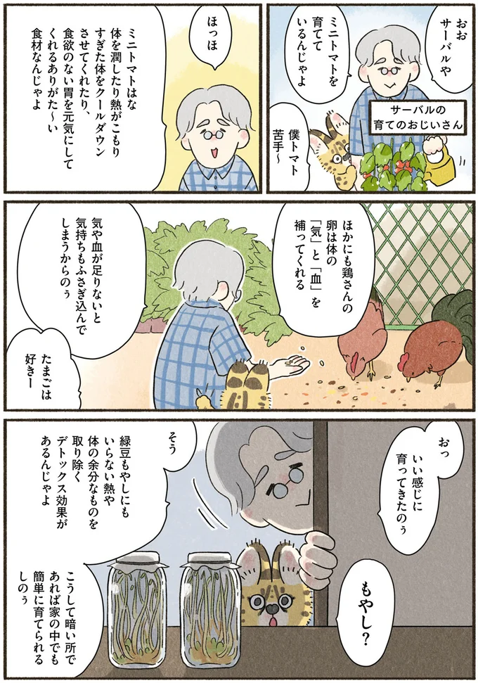 『いちばんやさしいおうち食養生 疲れた日の漢方ごはん』より