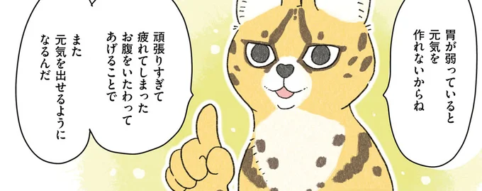 胃が弱っていると元気を作れないからね