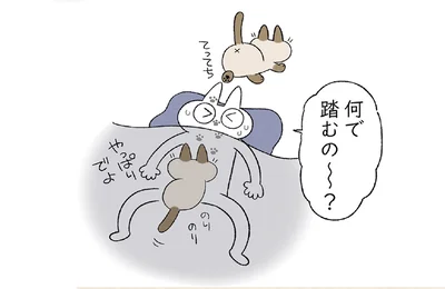 顔を踏んで出入りする猫