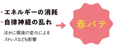 まずは体力確保のため、睡眠の質を改善しましょう！