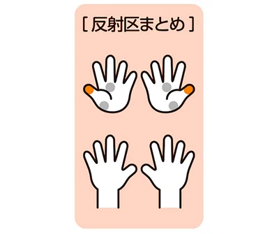 反射区まとめ