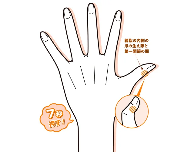 手足の冷え 体温UP、脂肪燃焼にも期待！おすすめ手もみ／手もみ大全（4）