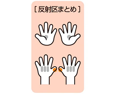 反射区まとめ