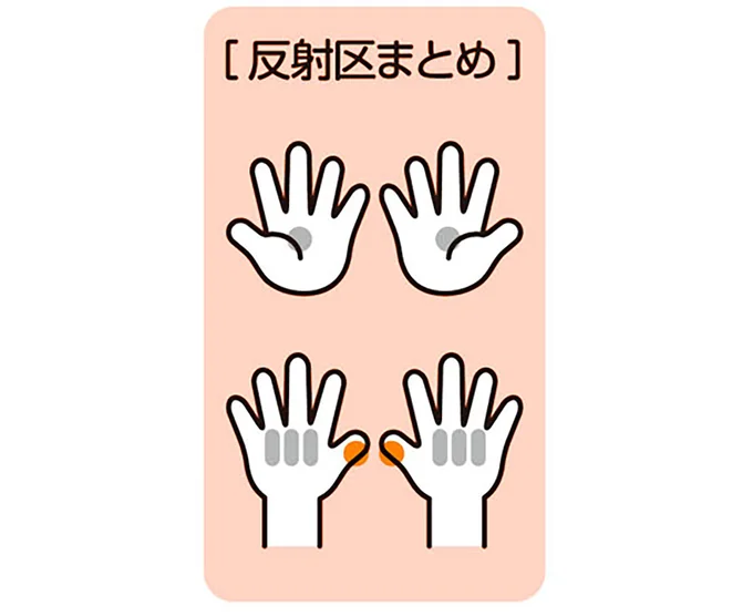 反射区まとめ