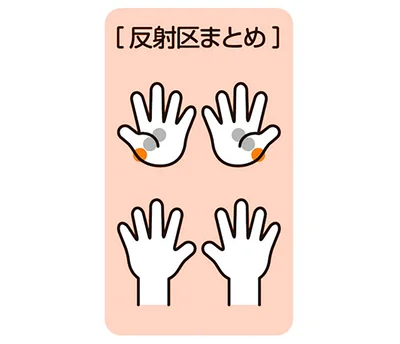 反射区まとめ