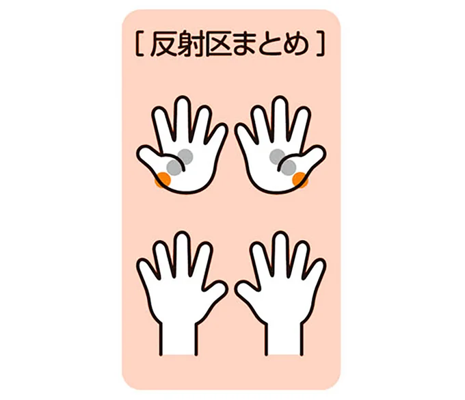 反射区まとめ