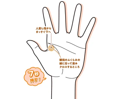 食後に押すことを習慣化するのがおすすめ