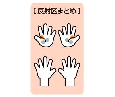 反射区まとめ