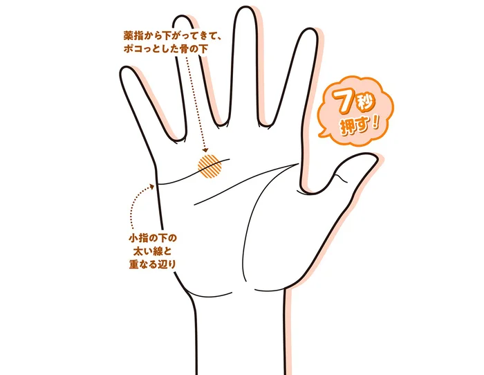 洋ナシ体型が気になる方に！手もみで脂肪燃焼！／手もみ大全（9）