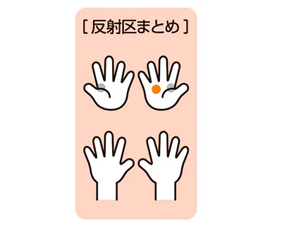 反射区まとめ
