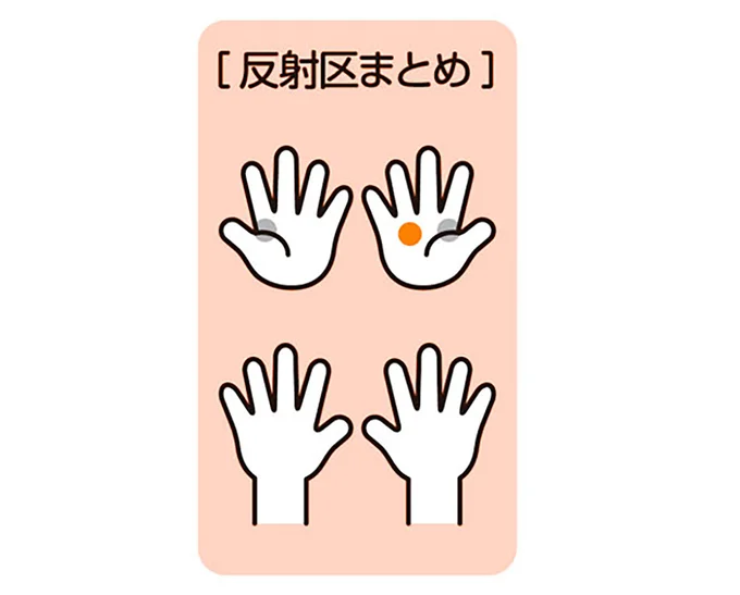 反射区まとめ