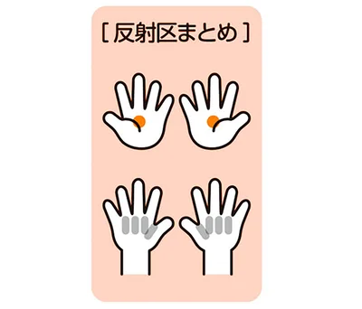反射区まとめ
