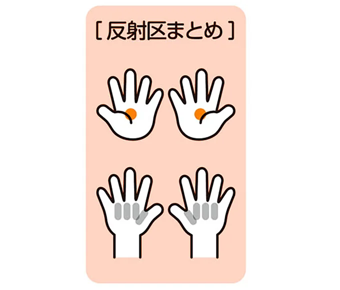 反射区まとめ