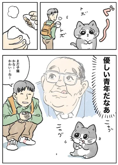 まだ子猫かなー