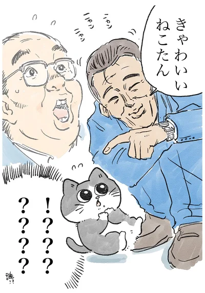 ねこたん