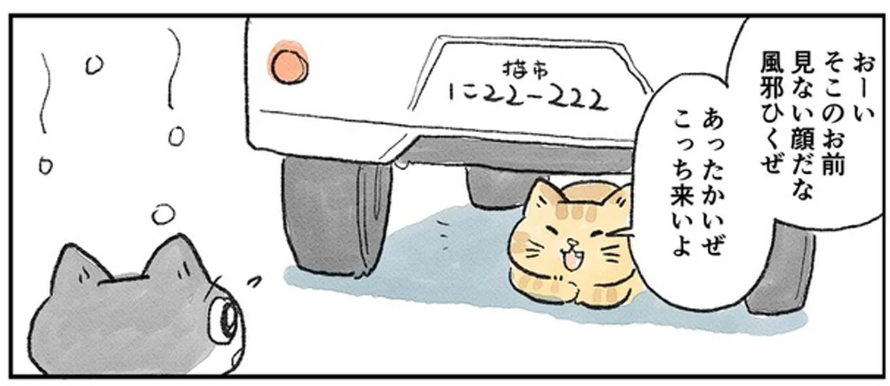 ゆきねこ様　確認ページ まちがい探し かわいいねこ写真 (GW MOOK 894): 9784867104637