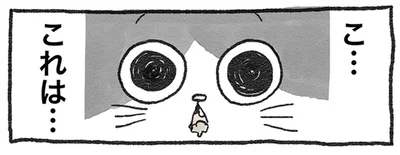 こ…これは…