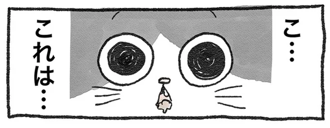 こ…これは…