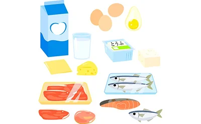 たんぱく質が豊富な食材といえば、お肉、お魚、卵、豆腐、納豆、乳製品など