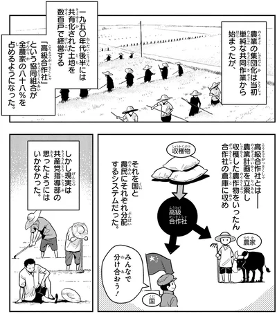 高級合作社