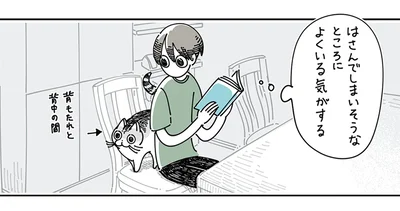 はさんでしまいそうなところによくいる気がする