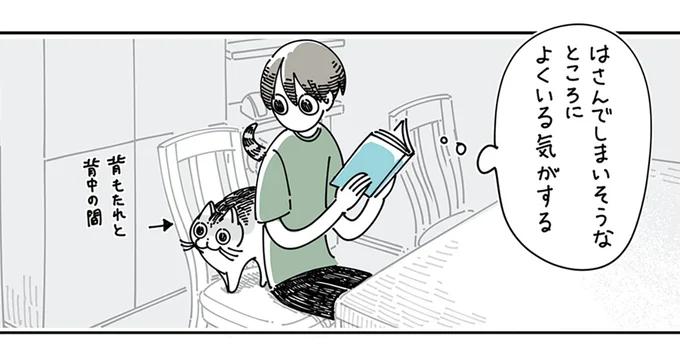 はさんでしまいそうなところによくいる気がする