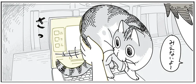 みえないよ〜