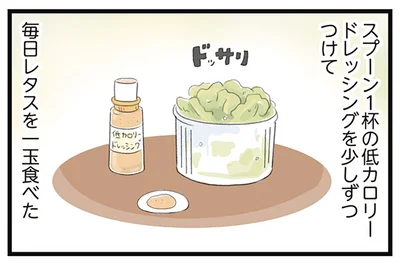 毎日レタスを