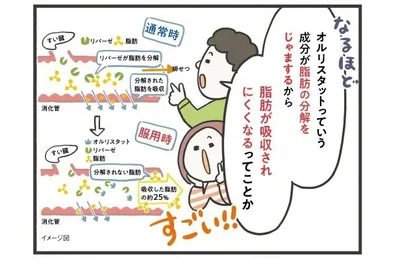脂肪が吸収されにくくなるらしい