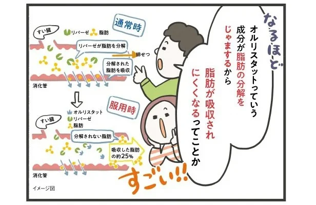 脂肪が吸収されにくくなるらしい