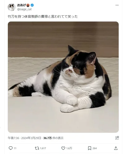 竹刀を持つ体育教師！確かにすごい貫禄ですね！▶︎新しい家への引っ越しに猫たちはどんな反応を示す？大人気猫マンガ『うちの猫がまた変なことしてる。７』は次画像から読めます（⇒次へ）