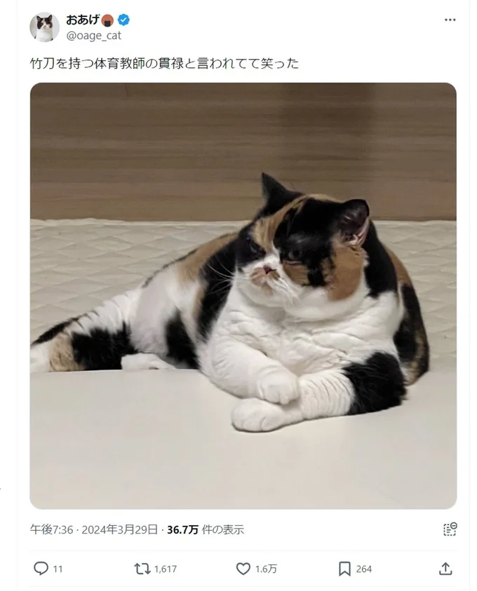 竹刀を持つ体育教師！確かにすごい貫禄ですね！▶︎新しい家への引っ越しに猫たちはどんな反応を示す？大人気猫マンガ『うちの猫がまた変なことしてる。７』は次画像から読めます（⇒次へ）