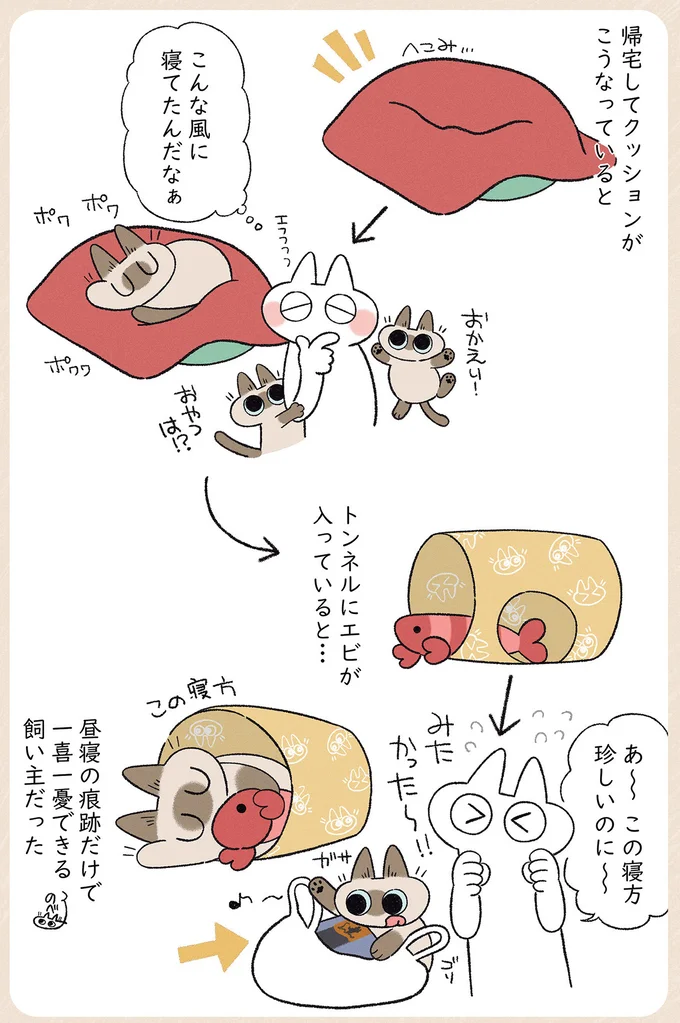 こんな風に寝てたんだなぁ