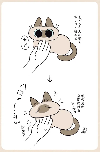 頭の力が全部抜ける