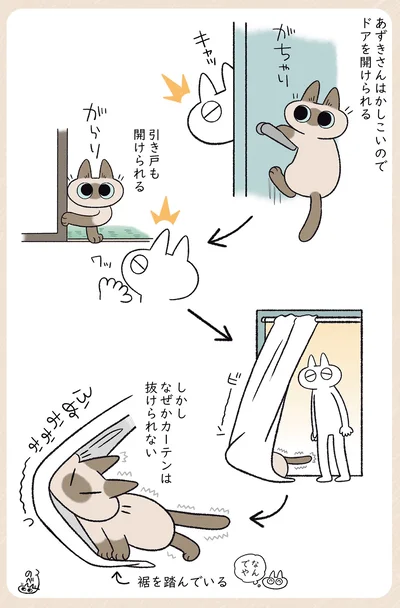 なぜかカーテンは…