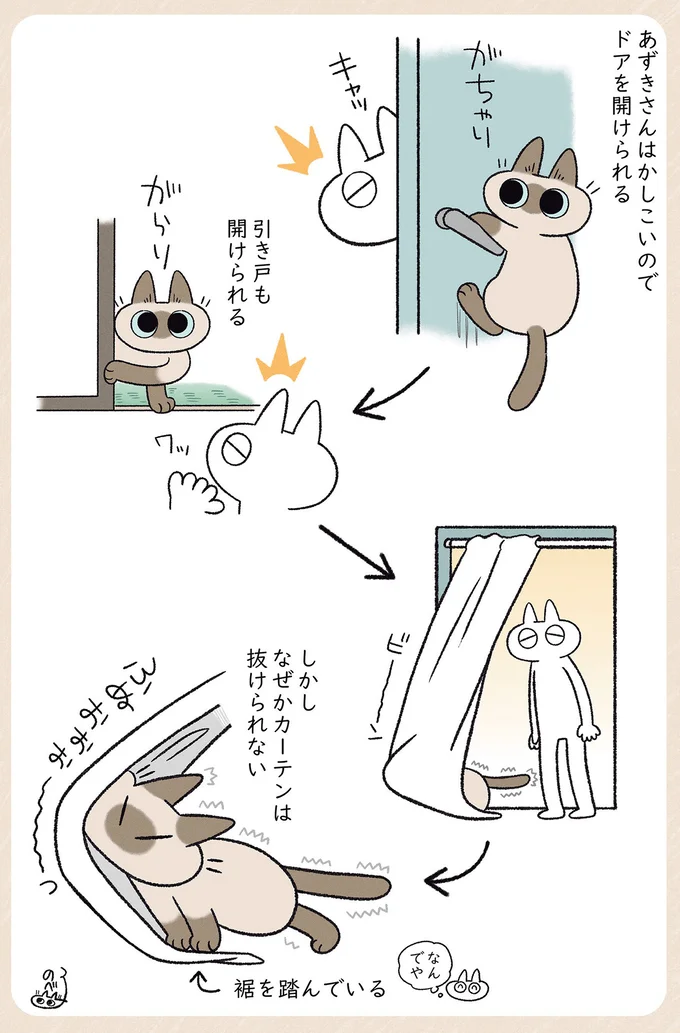なぜかカーテンは…