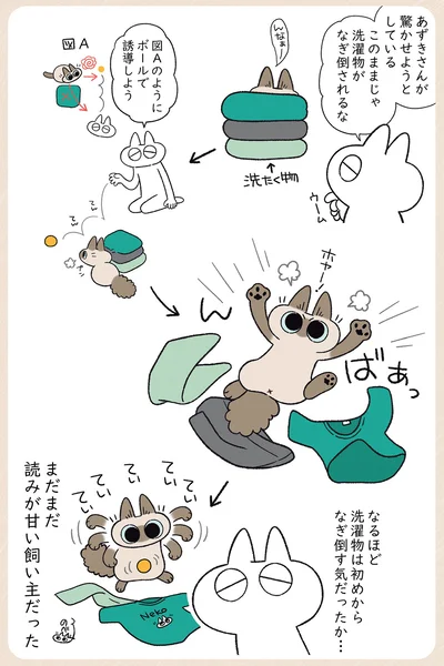 ボールで誘導しよう