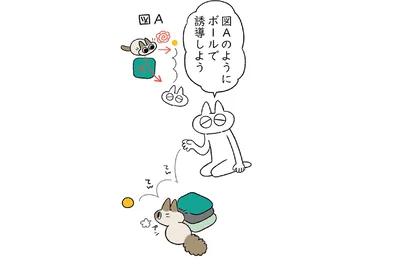 誘導を試みるが