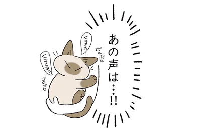 声の正体は…！！