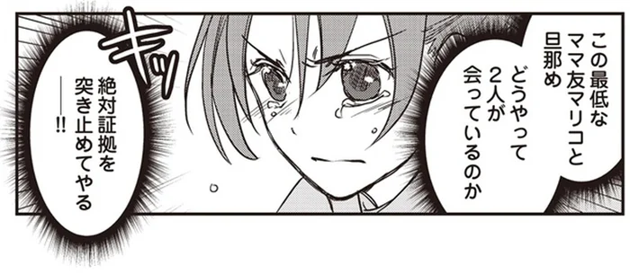 鍵付きアカウントを発見！絶対証拠を突き止めてやる！／私の入院中に、旦那がママ友とW不倫してました（10）