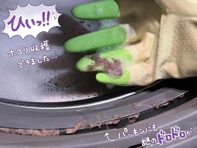 ホコリ収穫できました…