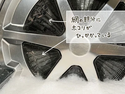 ホコリがひっかかっている