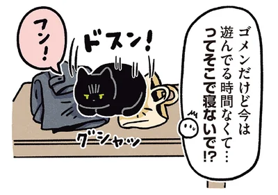 荷物の上に