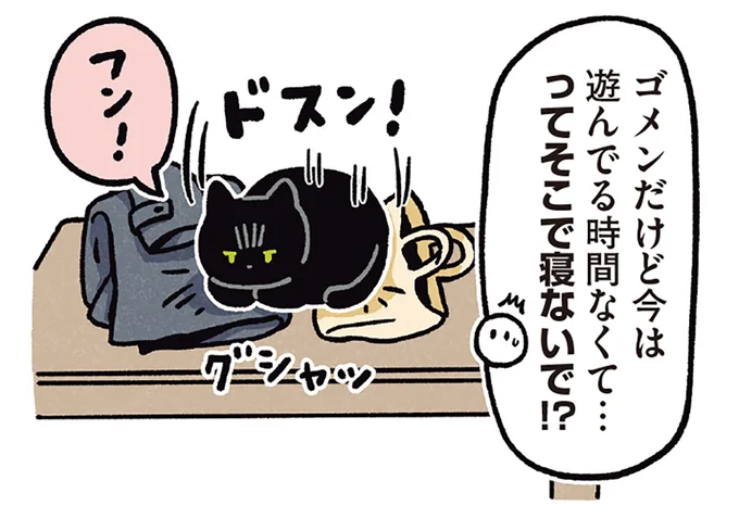 荷物の上に