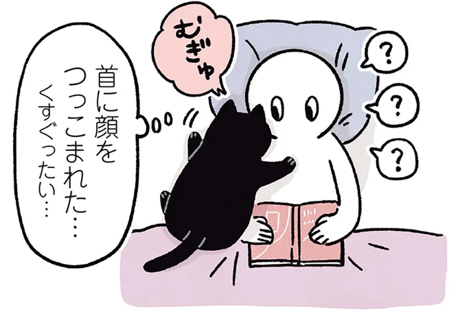 猫が飼い主の首に