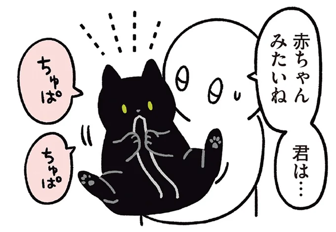 自分の尻尾に夢中な猫
