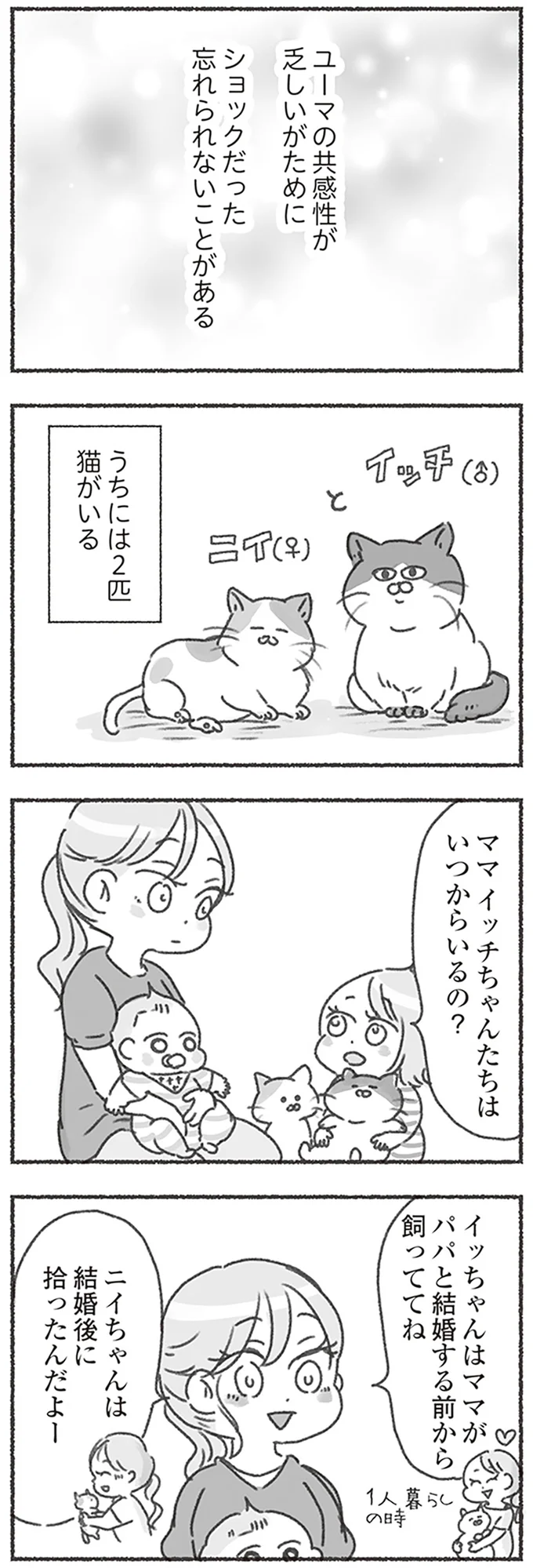 2匹猫がいる