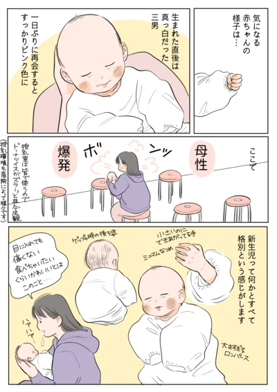 母性爆発