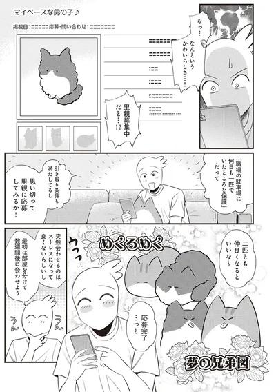 「レオとシロウのドタバタ猫日記」より