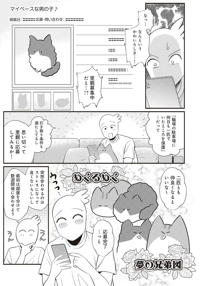 「レオとシロウのドタバタ猫日記」より